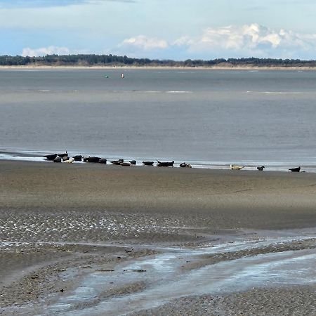 L'Instant Bed and Breakfast Cayeux-sur-Mer Exteriör bild