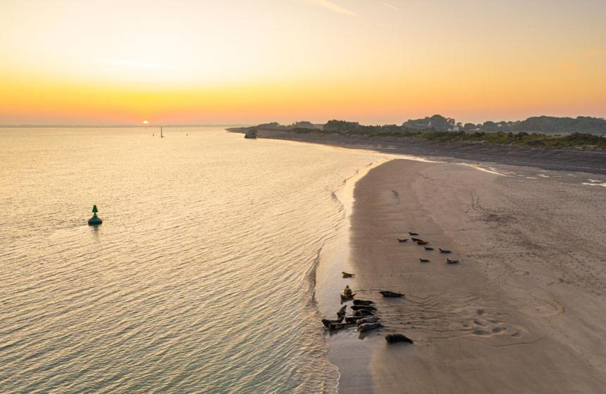 L'Instant Bed and Breakfast Cayeux-sur-Mer Exteriör bild